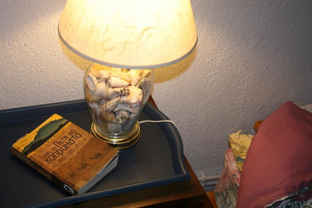 Guest House Kamenik Yagodina Quarto foto